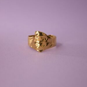 Anillo Barrosa