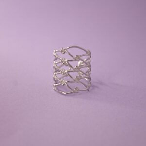 Anillo de acero inoxidable Tarifa