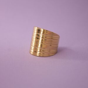 ANILLO PALMAR