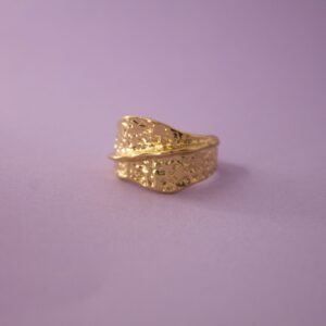 ANILLO BOLONIA