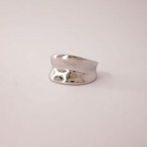 ANILLO ROTA