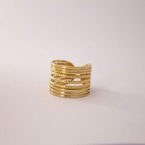 ANILLO MEDINA