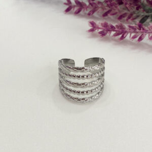 Anillo Aljibe