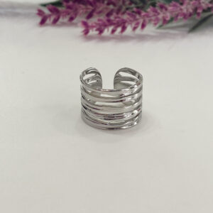 Anillo Gastor