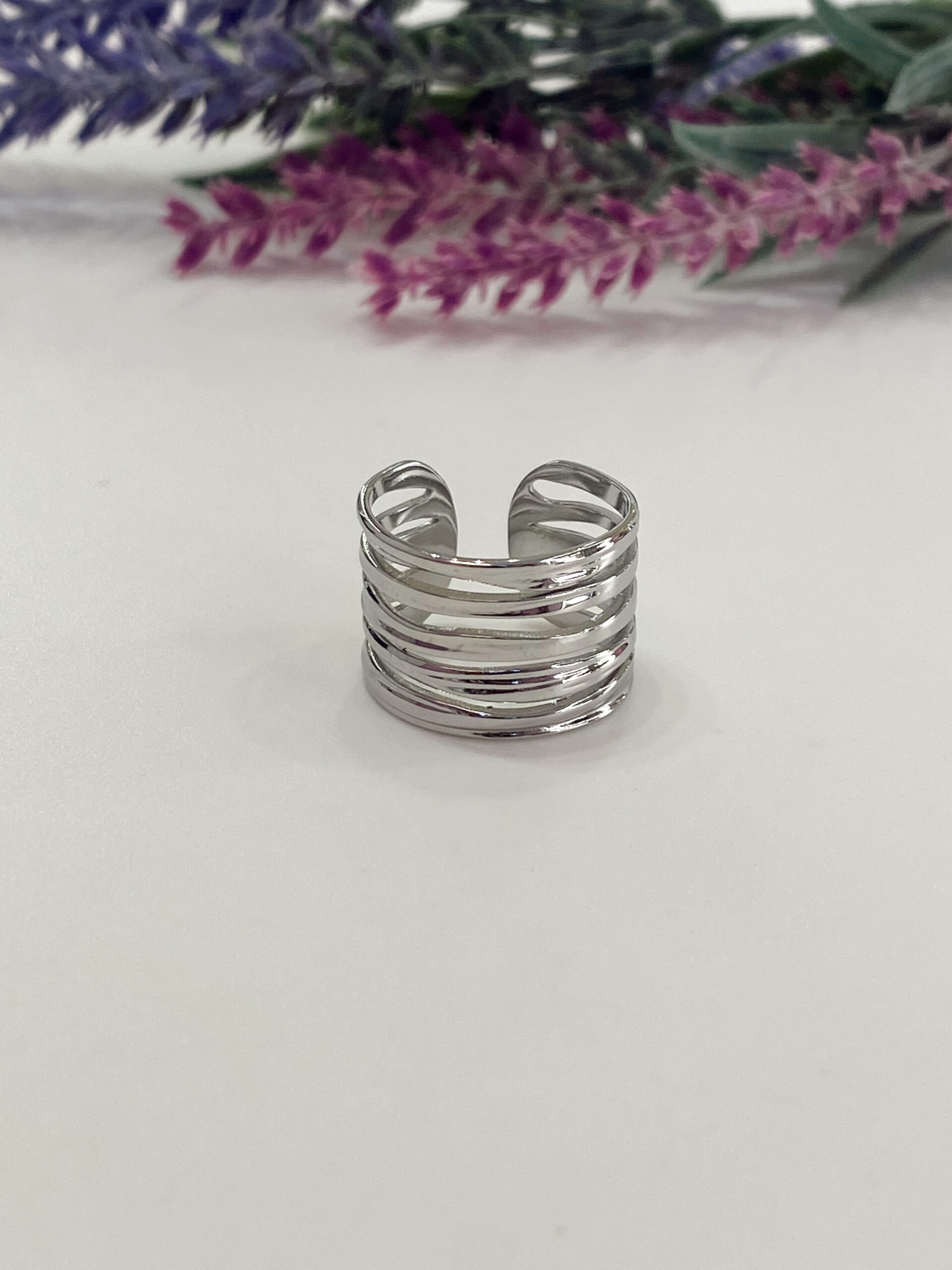 Anillo Gastor