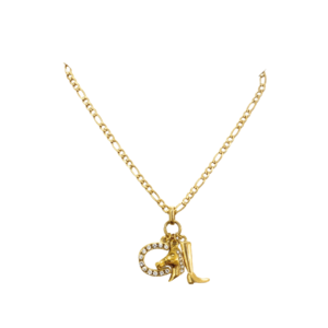 collar-rodeo-dorado